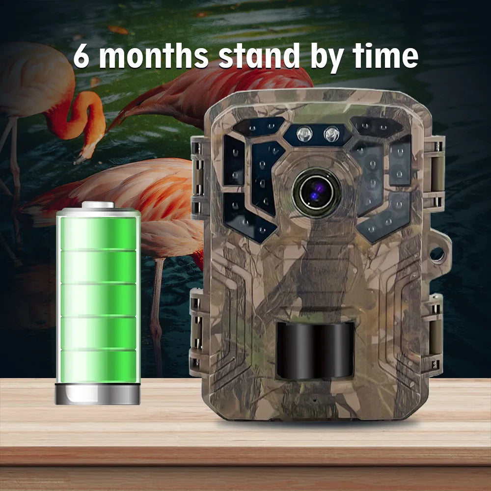 Outdoor Mini Trail Camera 4K HD 24MP 1080P Waterproof Wildlife Hunting Scouting Game Infrared Night Vision Surveillance Trap Cam